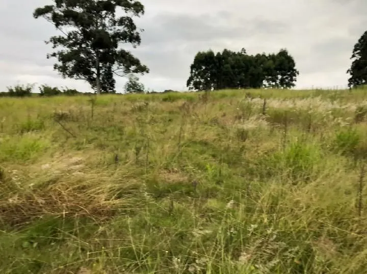 Sítio à venda de 2 ha em Santo Antônio da Patrulha, RS, Brasil