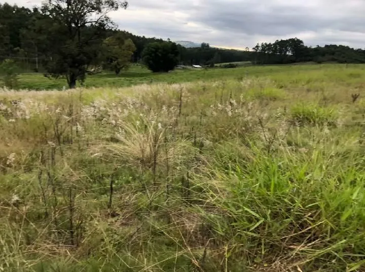 Sítio à venda de 2 ha em Santo Antônio da Patrulha, RS, Brasil
