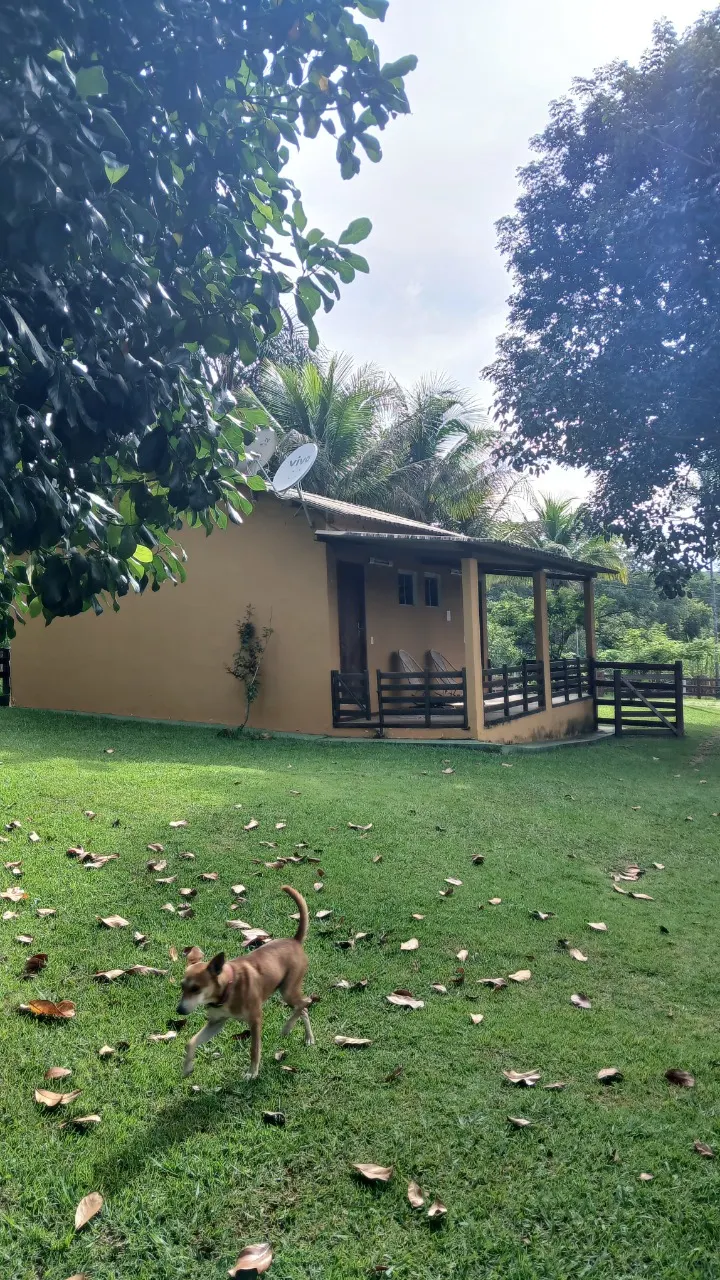 Fazenda à venda de 87 ha em Luziânia, GO, Brasil
