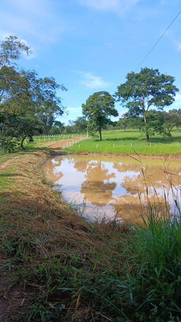Fazenda à venda de 87 ha em Luziânia, GO, Brasil