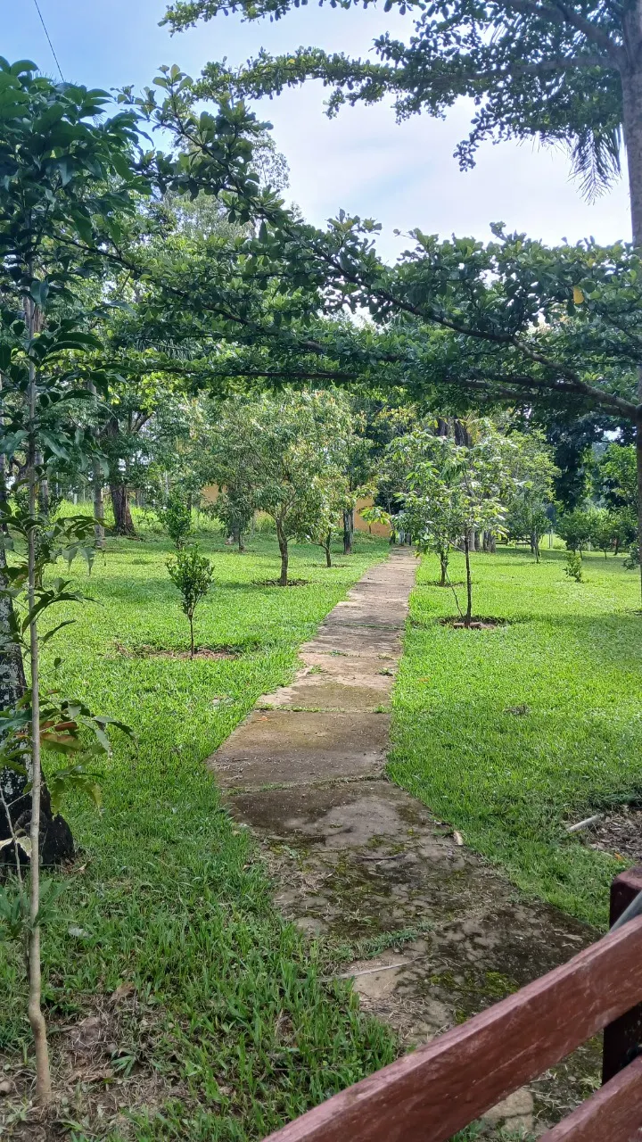 Fazenda à venda de 87 ha em Luziânia, GO, Brasil
