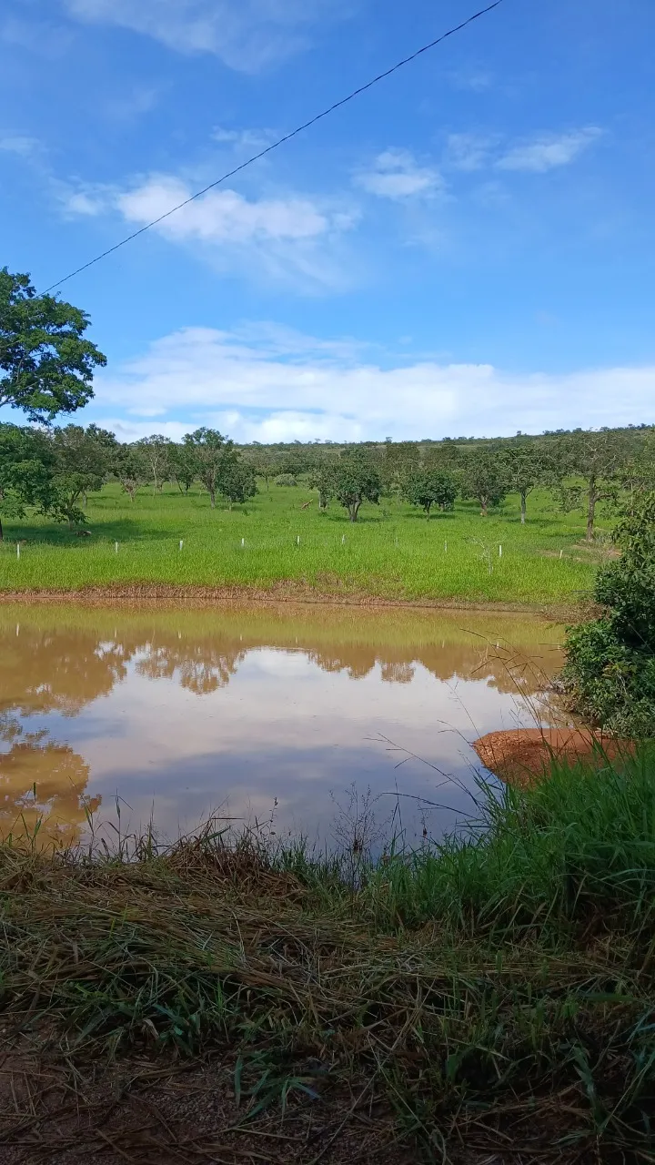Fazenda à venda de 87 ha em Luziânia, GO, Brasil