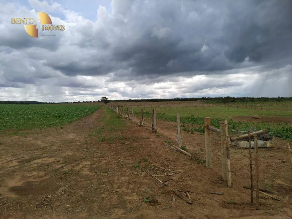 Fazenda à venda de 1.250 ha em Diamantino, MT, Brasil