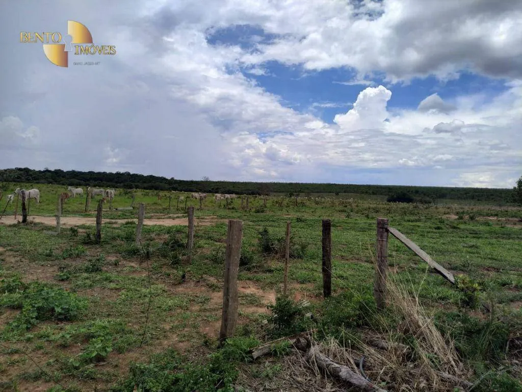 Fazenda à venda de 1.250 ha em Diamantino, MT, Brasil