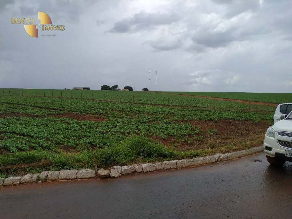 Fazenda à venda de 1.250 ha em Diamantino, MT, Brasil