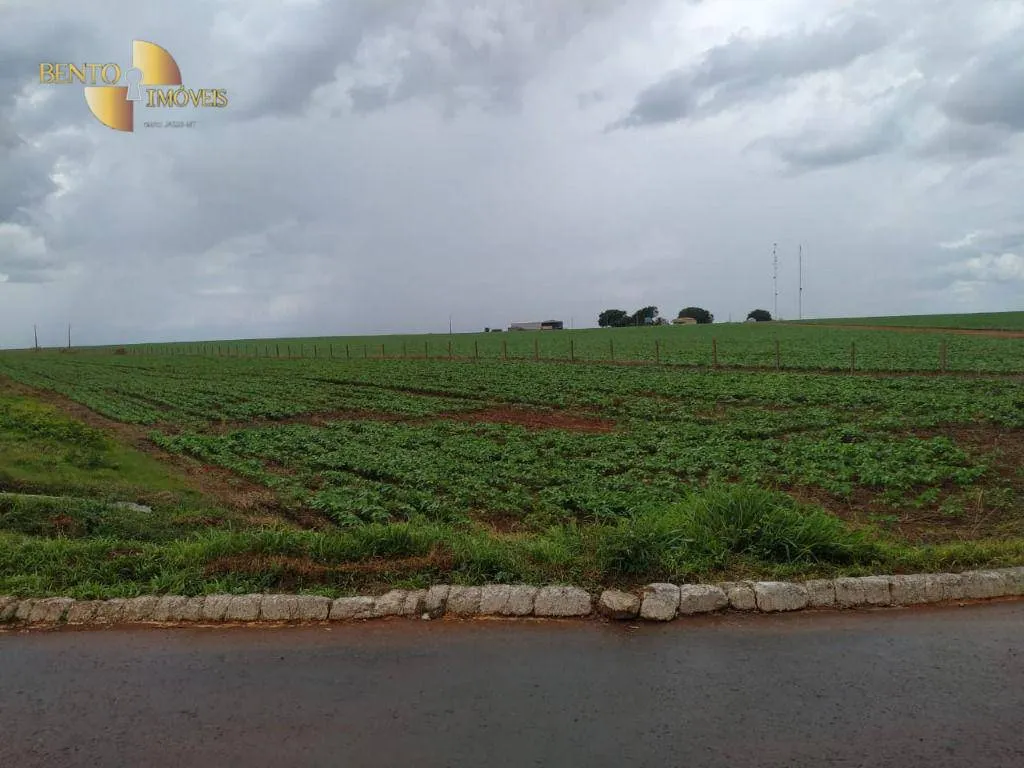 Fazenda à venda de 1.250 ha em Diamantino, MT, Brasil