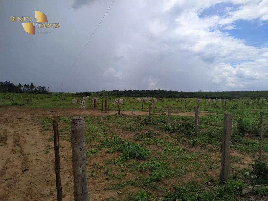 Fazenda à venda de 1.250 ha em Diamantino, MT, Brasil
