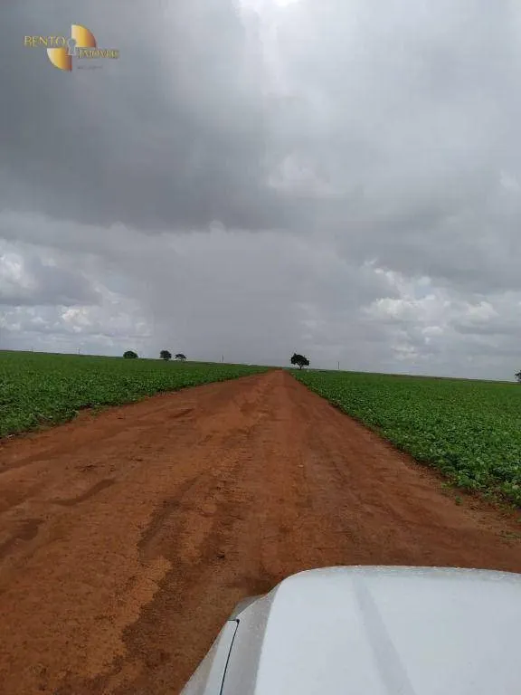 Fazenda à venda de 1.250 ha em Diamantino, MT, Brasil