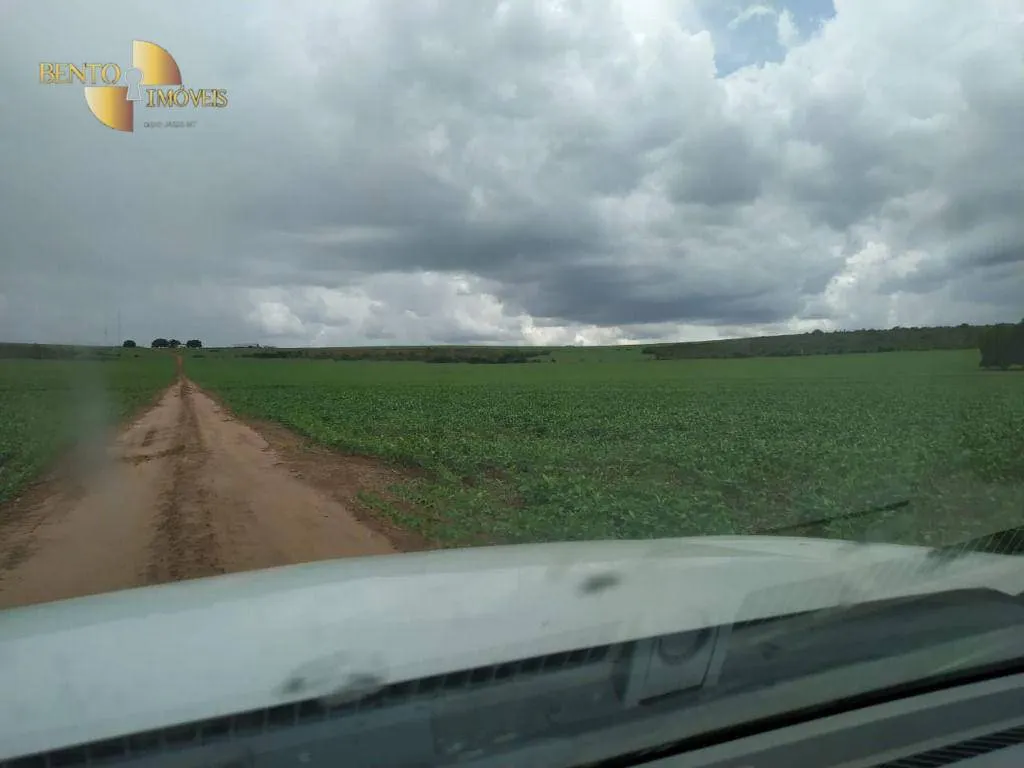 Fazenda à venda de 1.250 ha em Diamantino, MT, Brasil