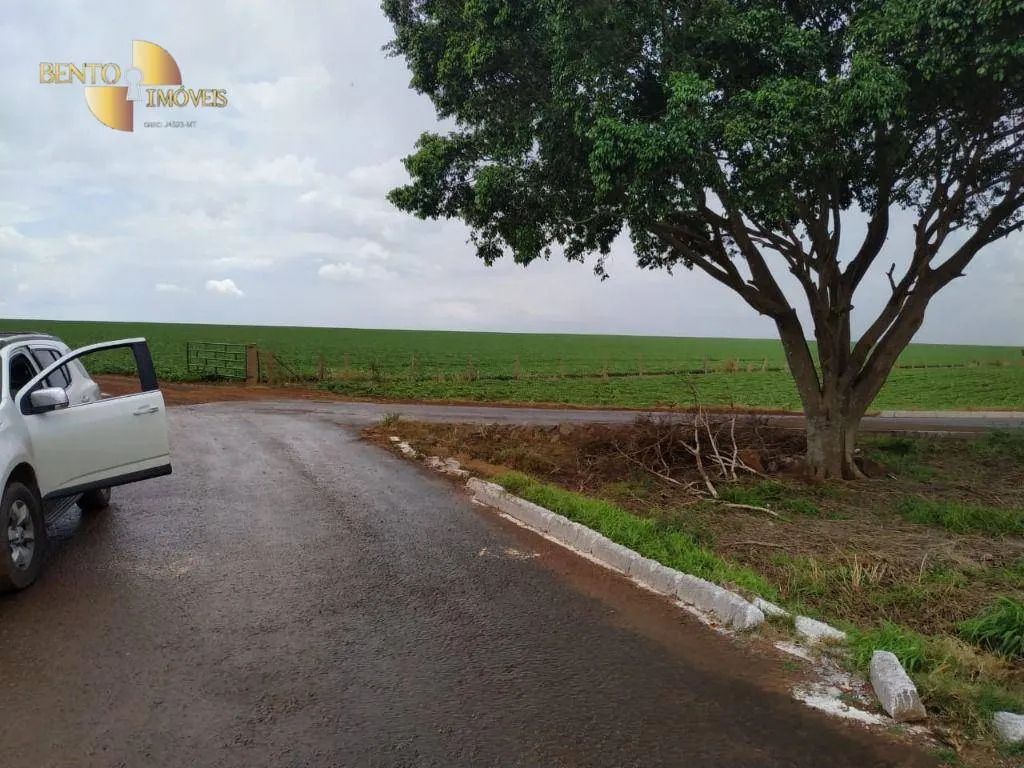 Fazenda à venda de 1.250 ha em Diamantino, MT, Brasil