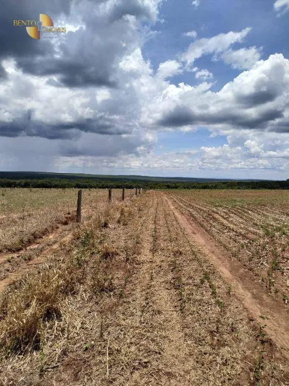Fazenda à venda de 1.250 ha em Diamantino, MT, Brasil