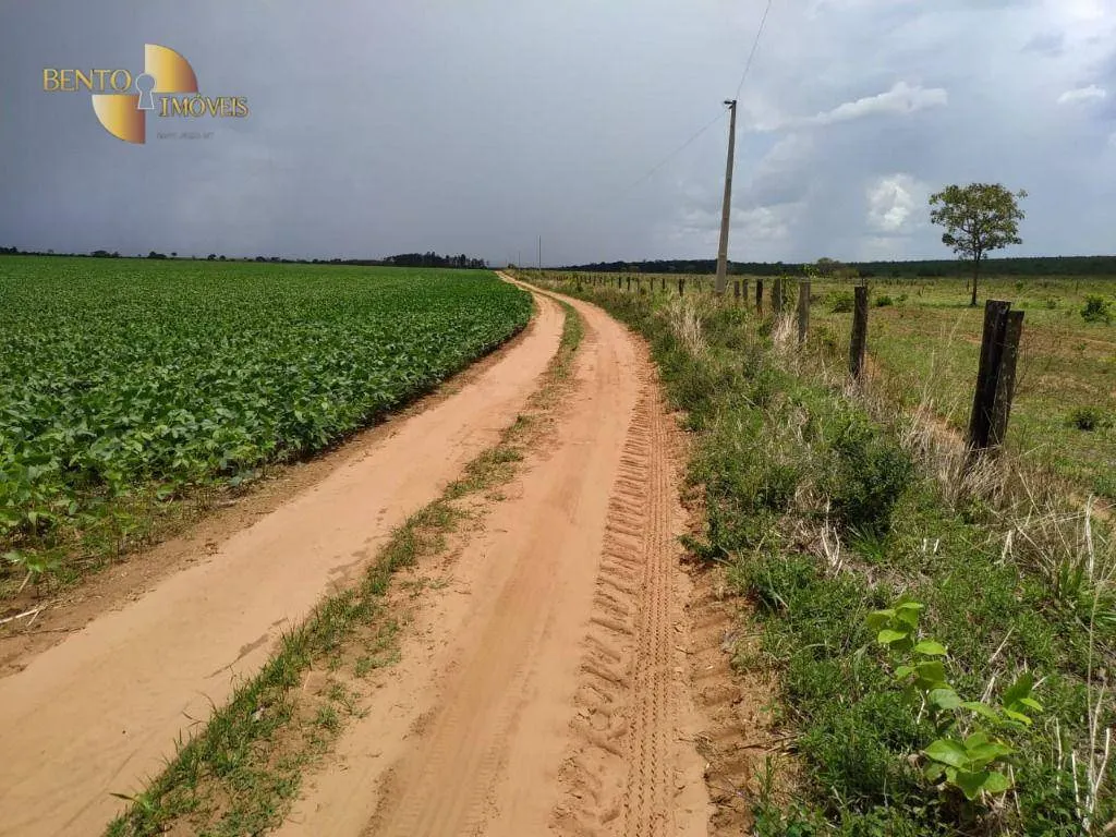 Fazenda à venda de 1.250 ha em Diamantino, MT, Brasil