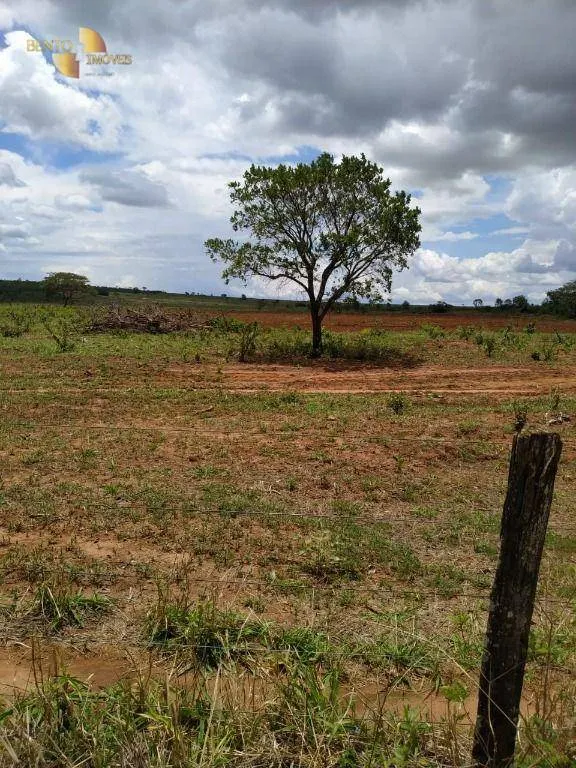 Fazenda à venda de 1.250 ha em Diamantino, MT, Brasil