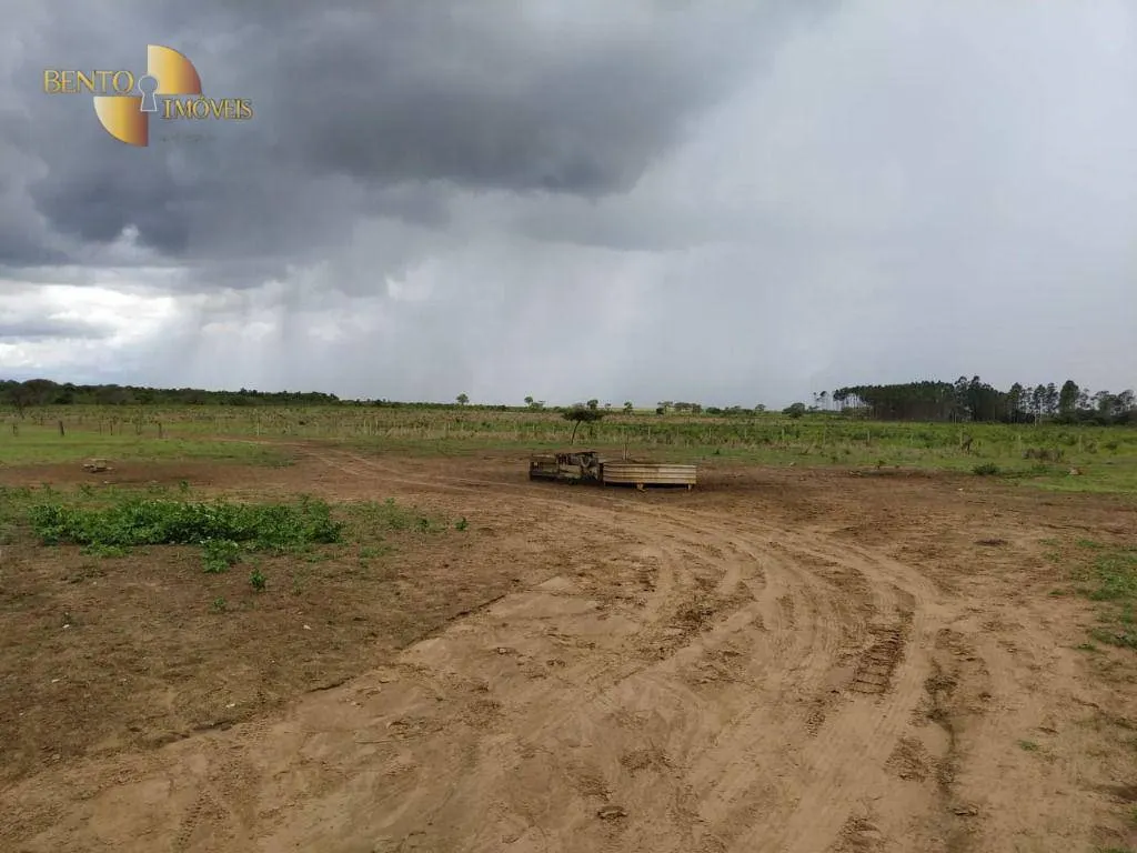 Fazenda à venda de 1.250 ha em Diamantino, MT, Brasil