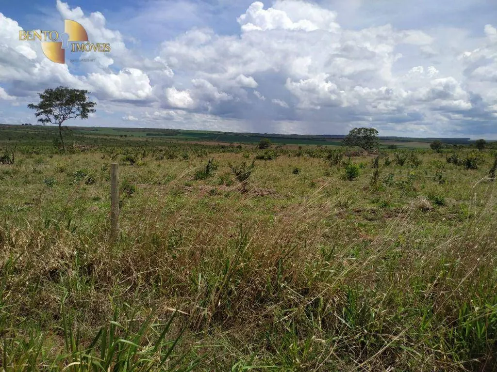 Fazenda à venda de 1.250 ha em Diamantino, MT, Brasil