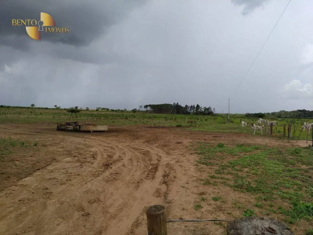 Fazenda à venda de 1.250 ha em Diamantino, MT, Brasil