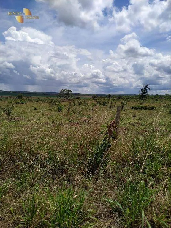 Fazenda à venda de 1.250 ha em Diamantino, MT, Brasil
