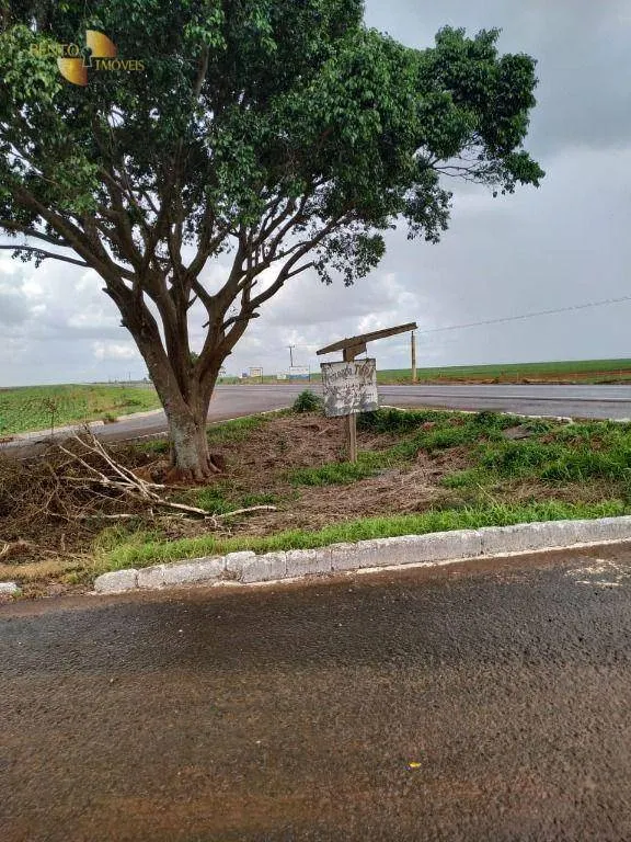 Fazenda à venda de 1.250 ha em Diamantino, MT, Brasil