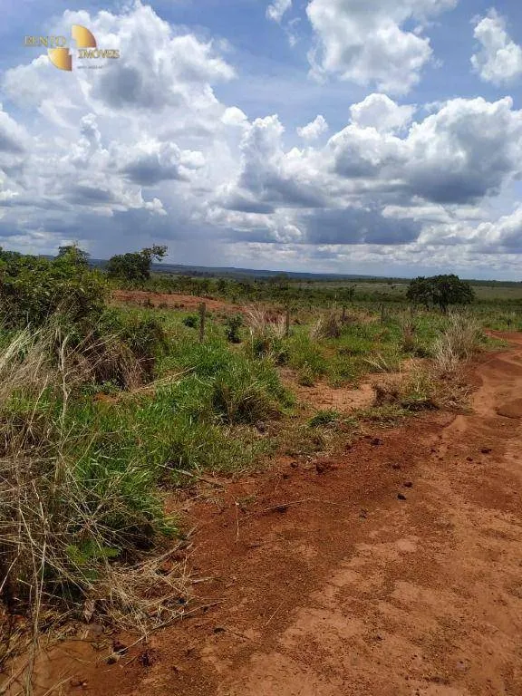 Fazenda à venda de 1.250 ha em Diamantino, MT, Brasil