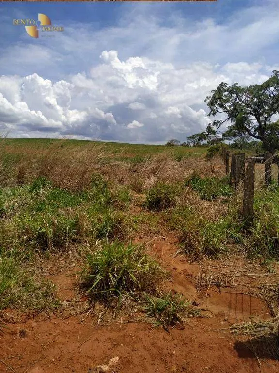 Fazenda à venda de 1.250 ha em Diamantino, MT, Brasil
