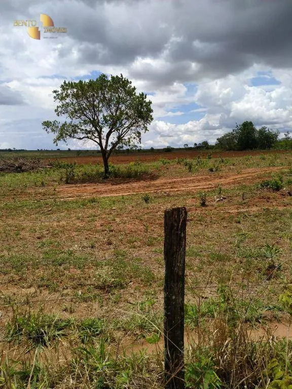 Fazenda à venda de 1.250 ha em Diamantino, MT, Brasil