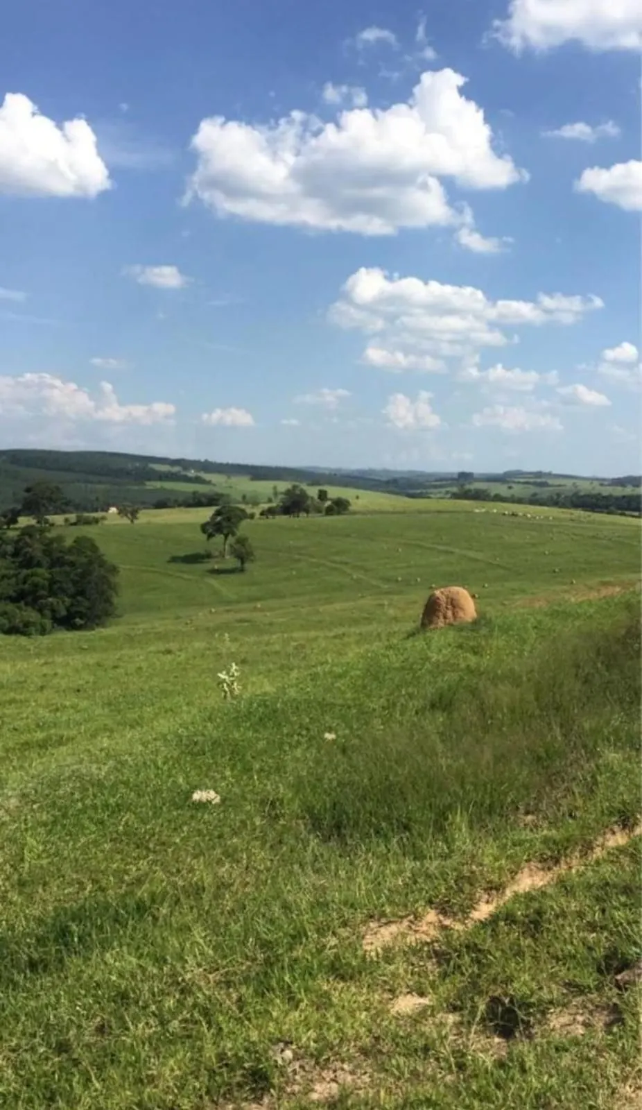 Fazenda à venda de 211 ha em Alambari, SP, Brasil