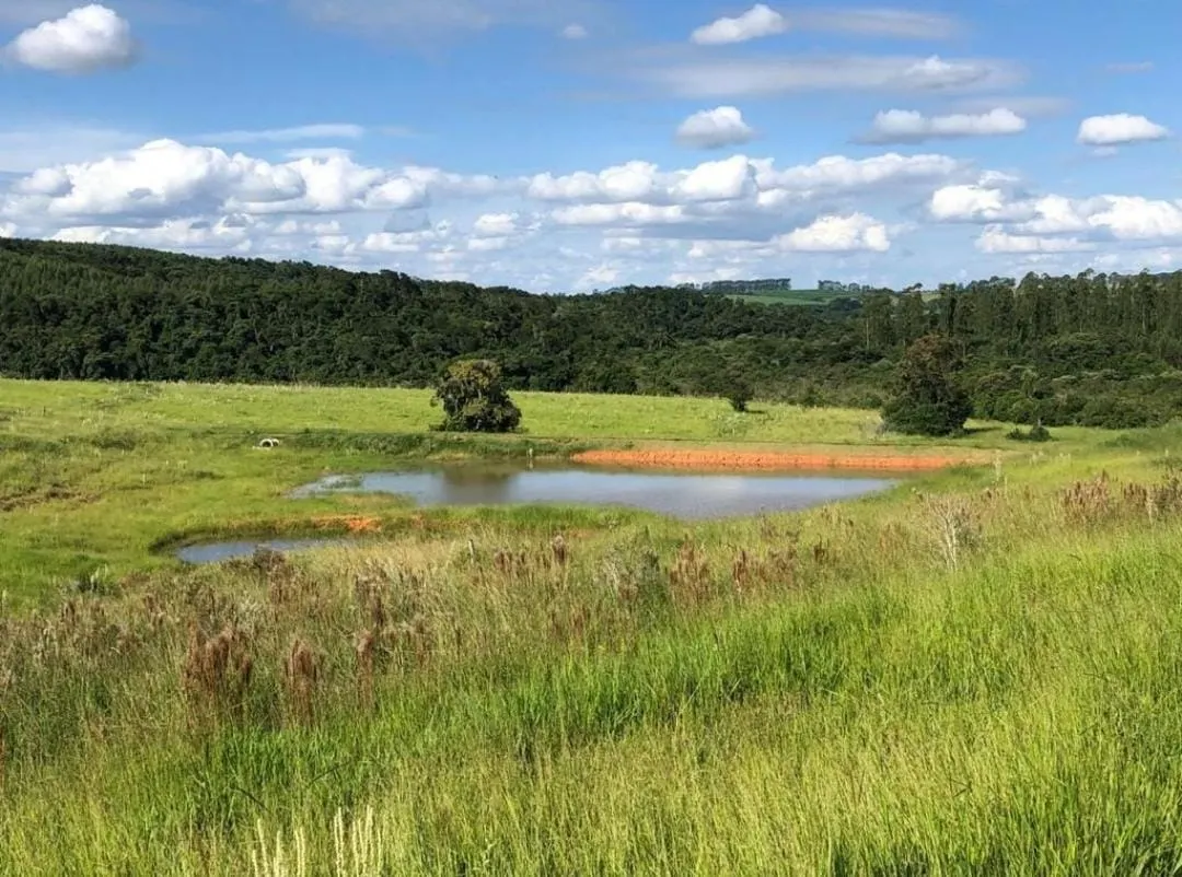 Fazenda à venda de 211 ha em Alambari, SP, Brasil