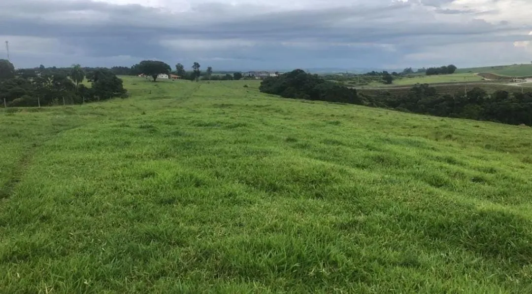 Fazenda à venda de 211 ha em Alambari, SP, Brasil