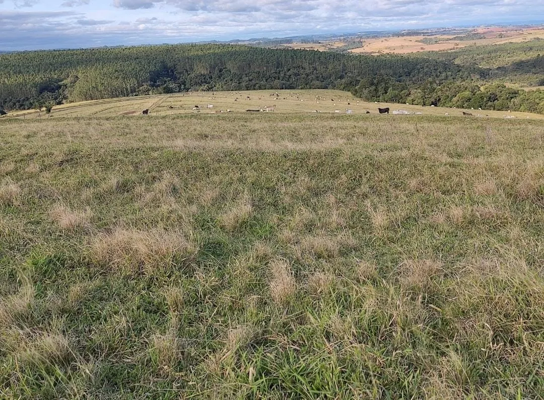 Fazenda à venda de 211 ha em Alambari, SP, Brasil