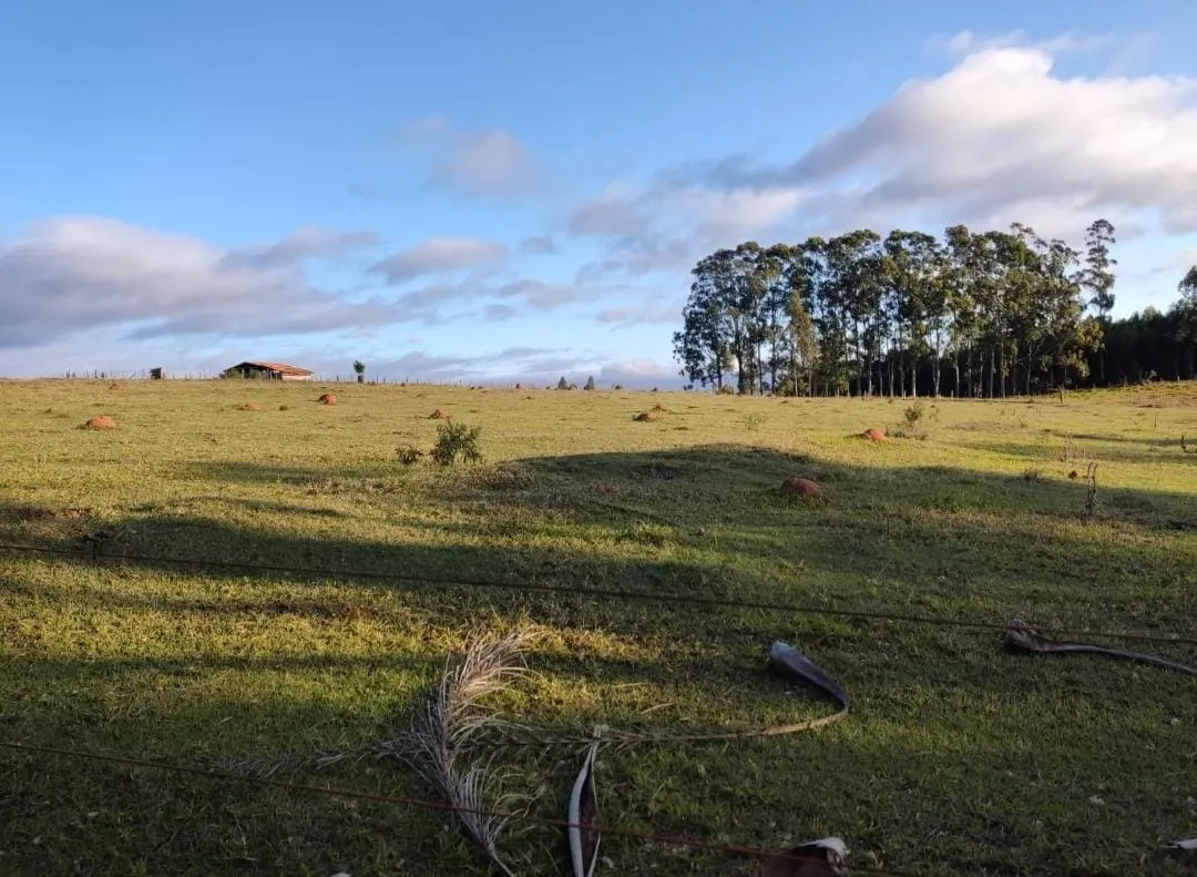Fazenda à venda de 211 ha em Alambari, SP, Brasil