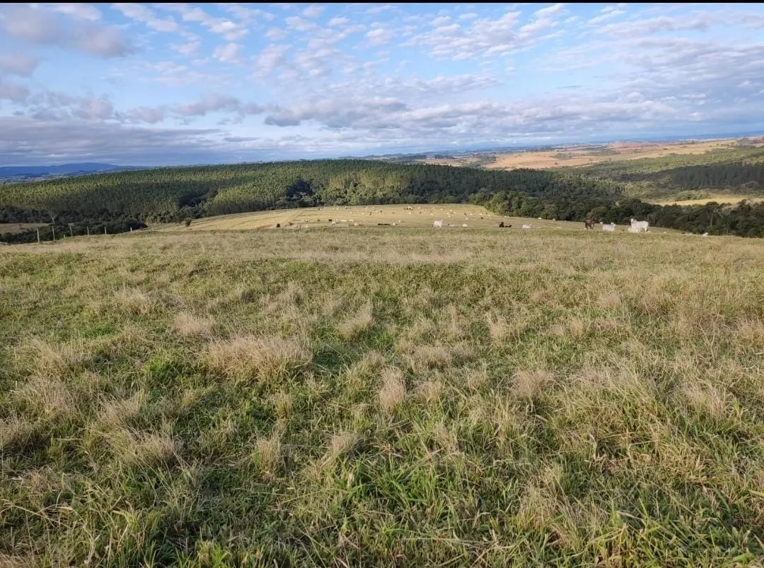 Fazenda à venda de 211 ha em Alambari, SP, Brasil