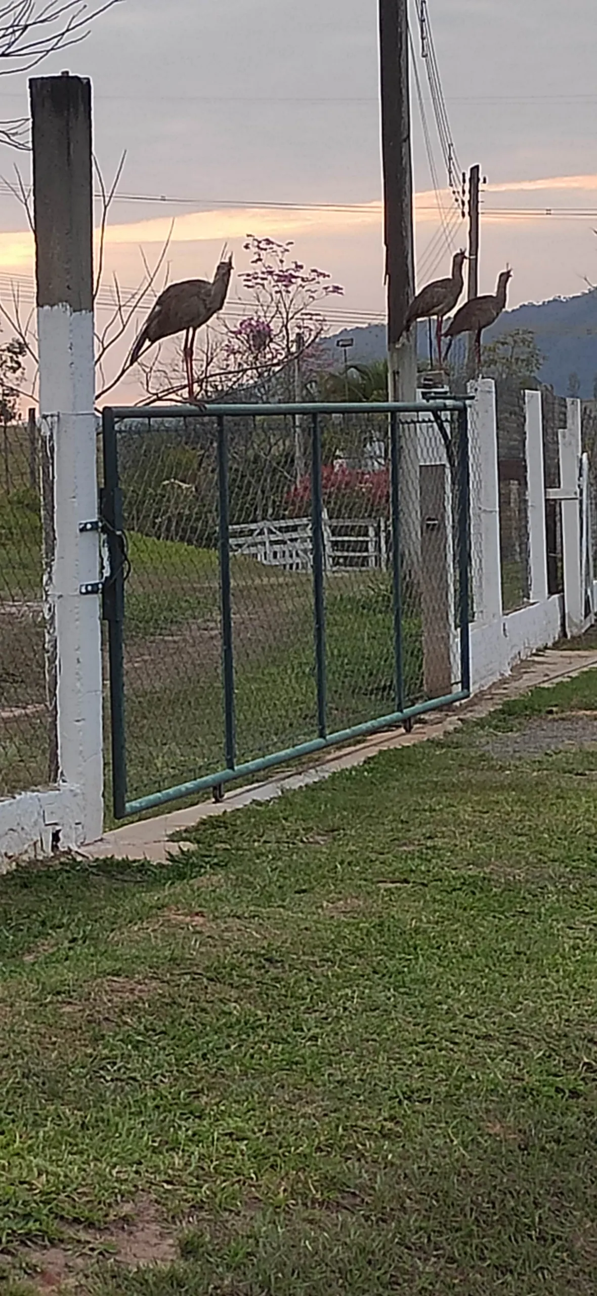 Cottage for sale of 5 acres in Bofete, SP, Brazil