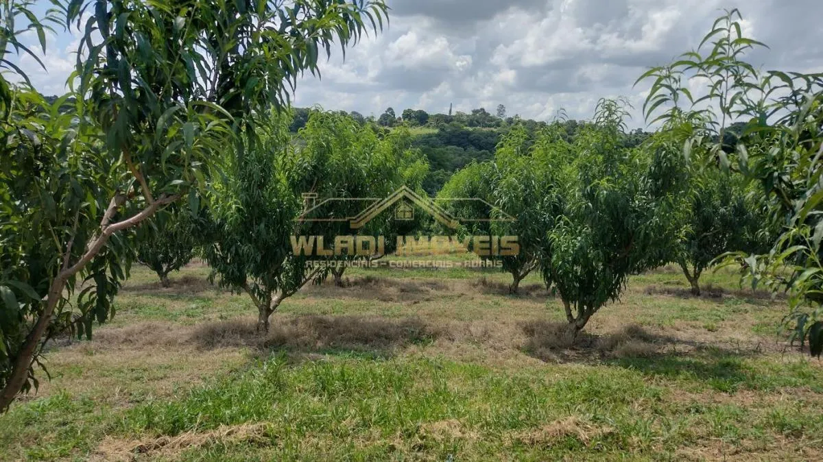 Sítio à venda de 5 ha em Valinhos, SP, Brasil