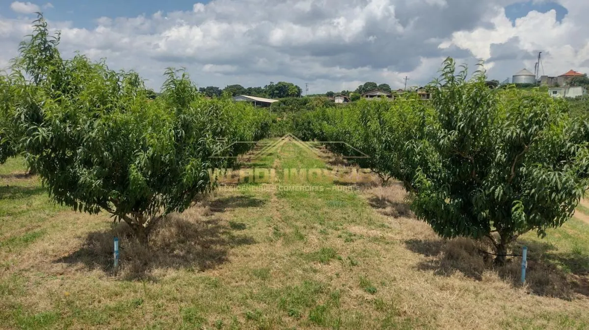 Sítio à venda de 5 ha em Valinhos, SP, Brasil