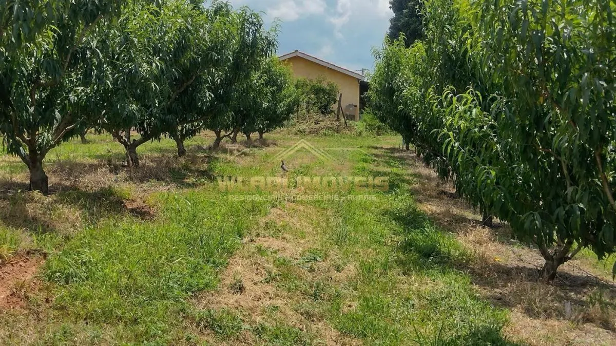Sítio à venda de 5 ha em Valinhos, SP, Brasil