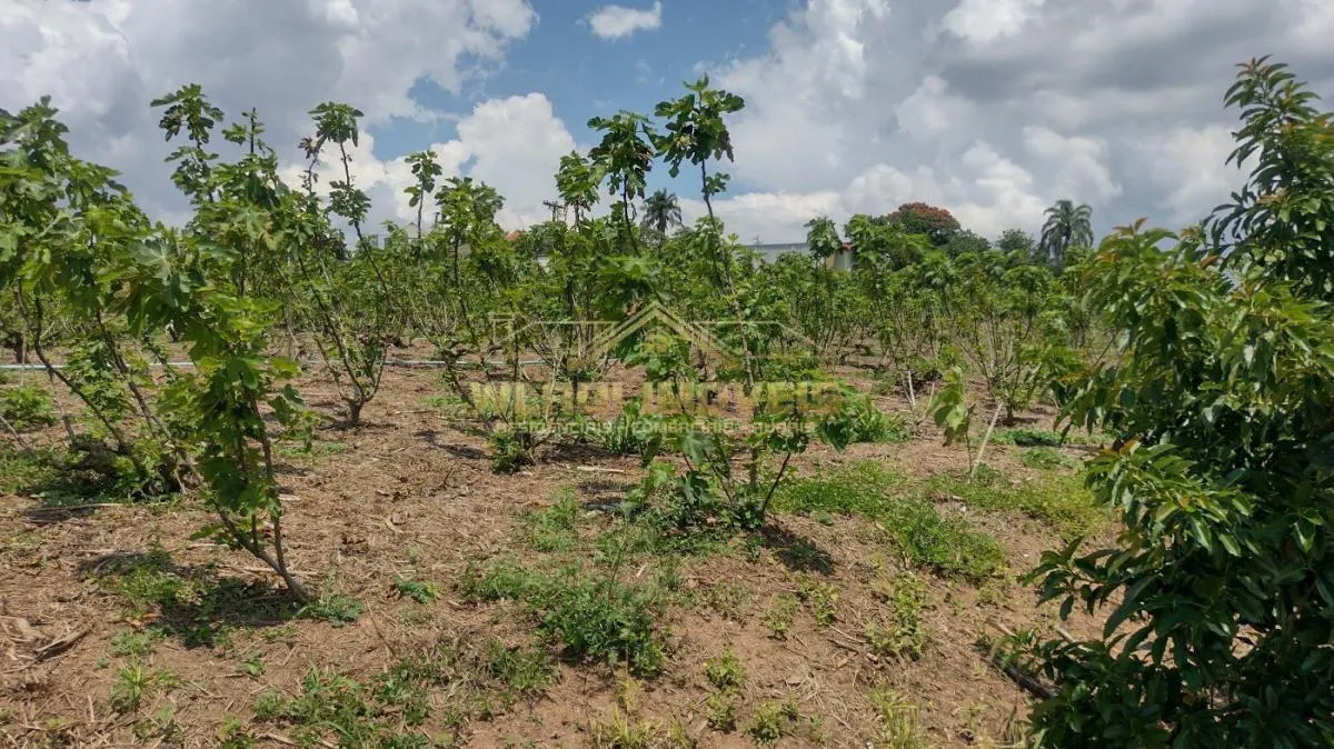 Sítio à venda de 5 ha em Valinhos, SP, Brasil