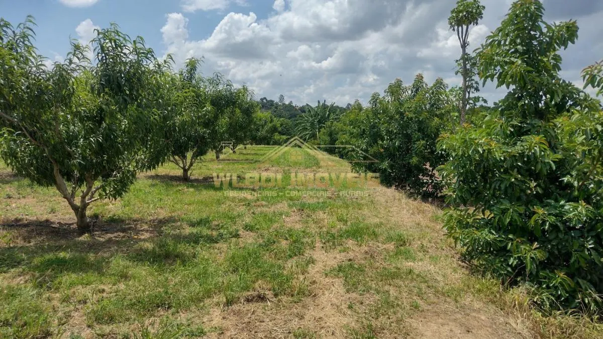 Sítio à venda de 5 ha em Valinhos, SP, Brasil