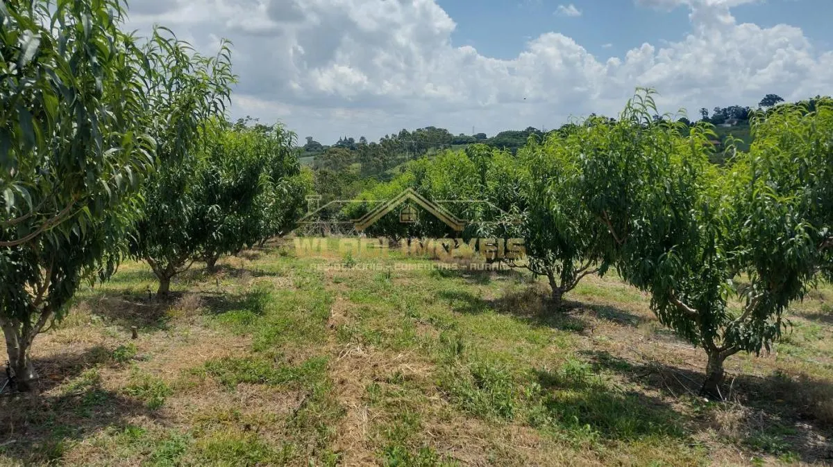 Sítio à venda de 5 ha em Valinhos, SP, Brasil