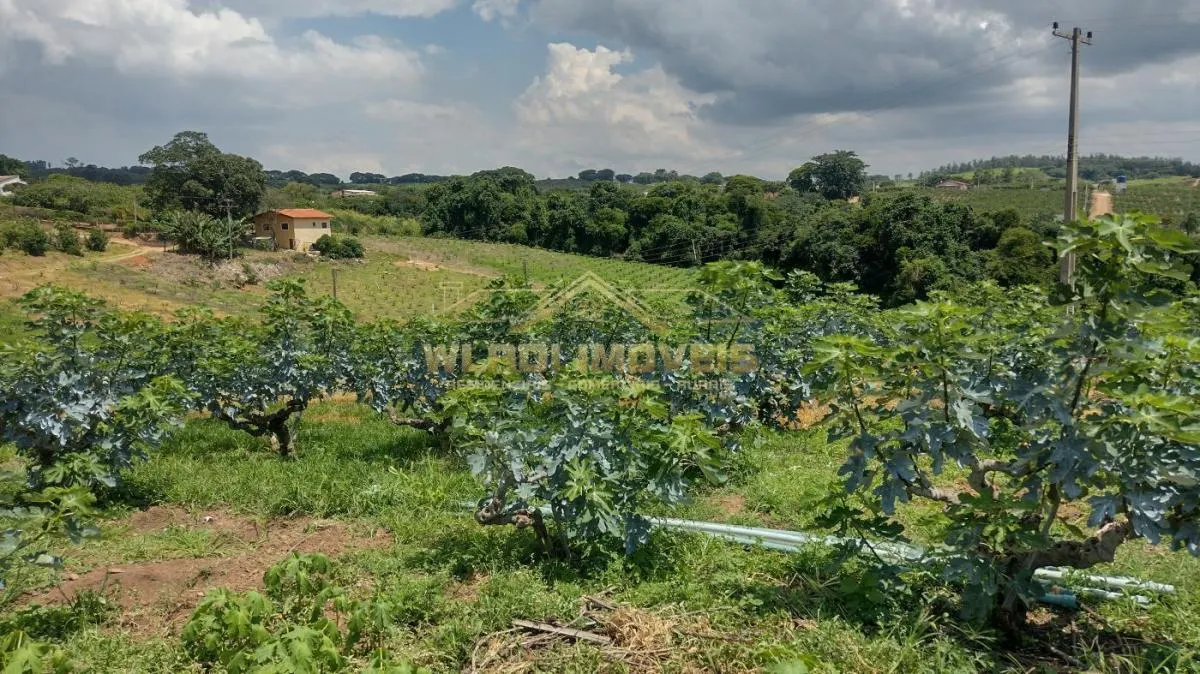 Sítio à venda de 5 ha em Valinhos, SP, Brasil