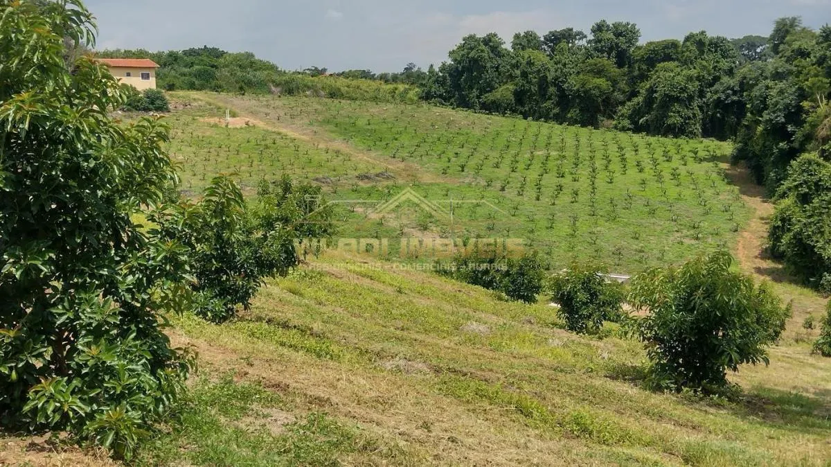 Sítio à venda de 5 ha em Valinhos, SP, Brasil