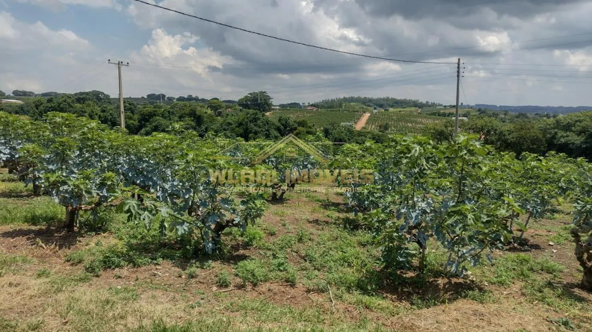 Sítio à venda de 5 ha em Valinhos, SP, Brasil