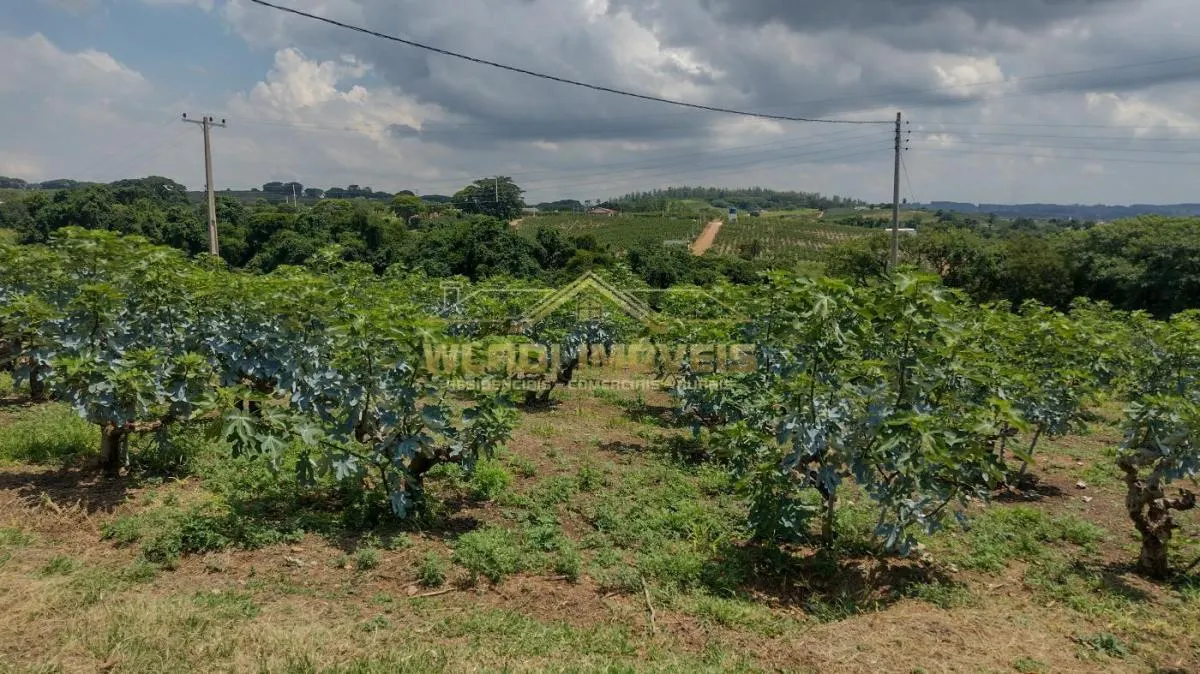 Sítio à venda de 5 ha em Valinhos, SP, Brasil