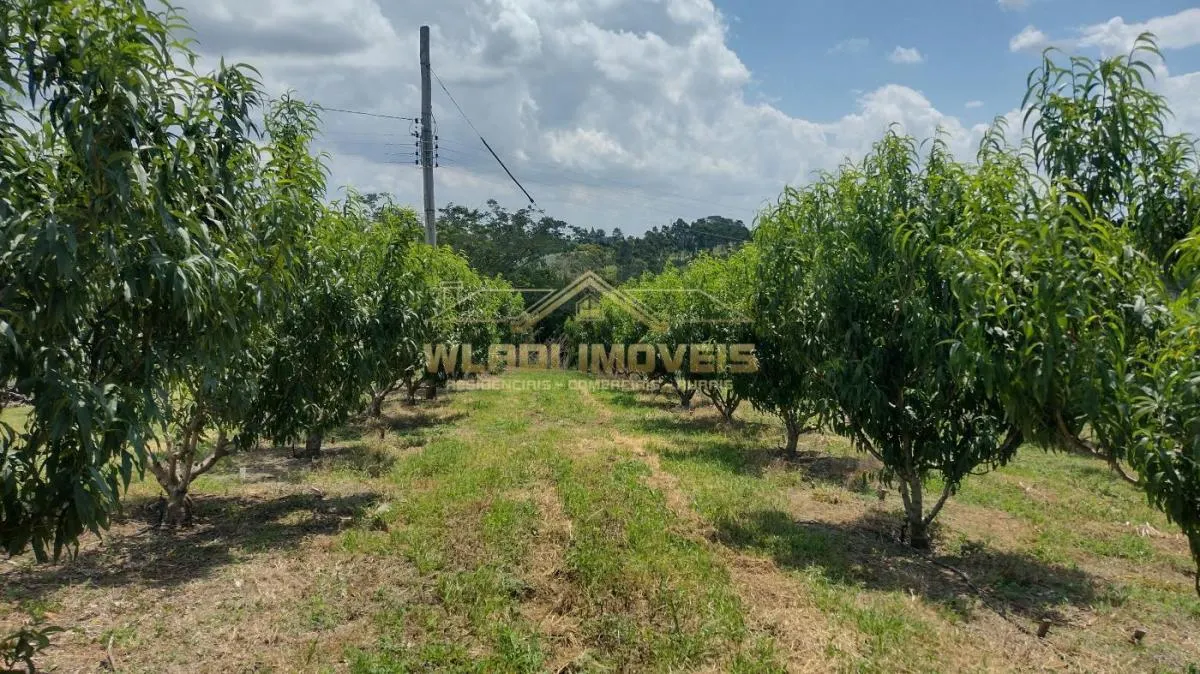 Sítio à venda de 5 ha em Valinhos, SP, Brasil