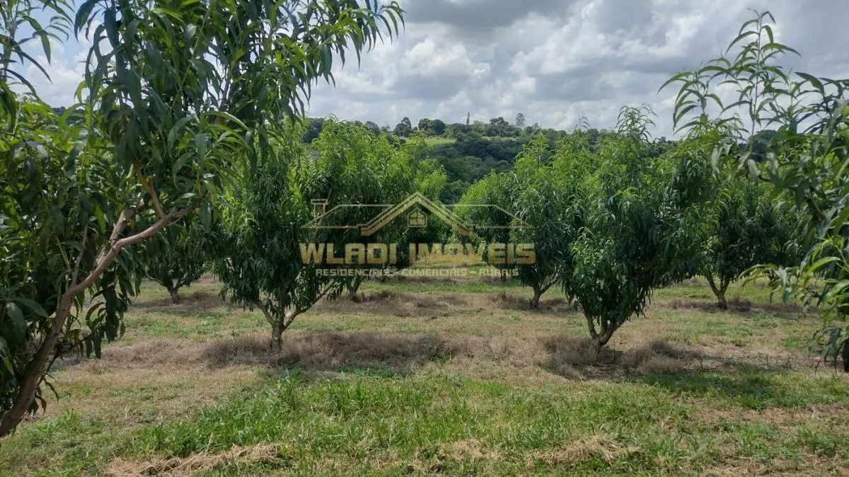 Sítio à venda de 5 ha em Valinhos, SP, Brasil