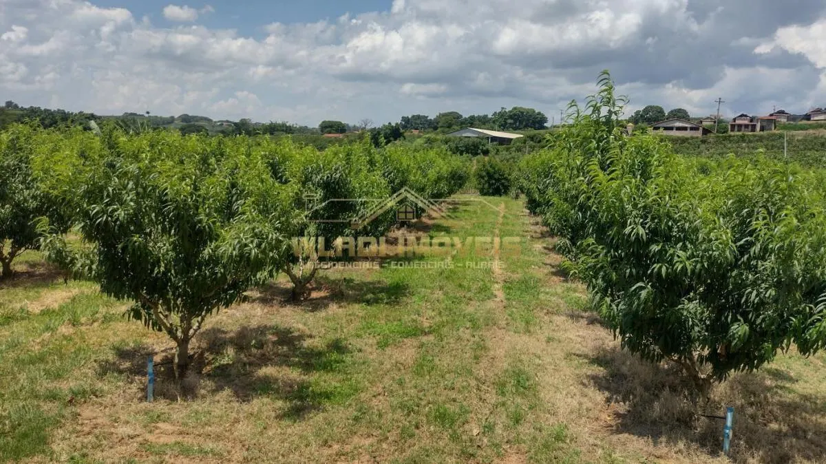 Sítio à venda de 5 ha em Valinhos, SP, Brasil