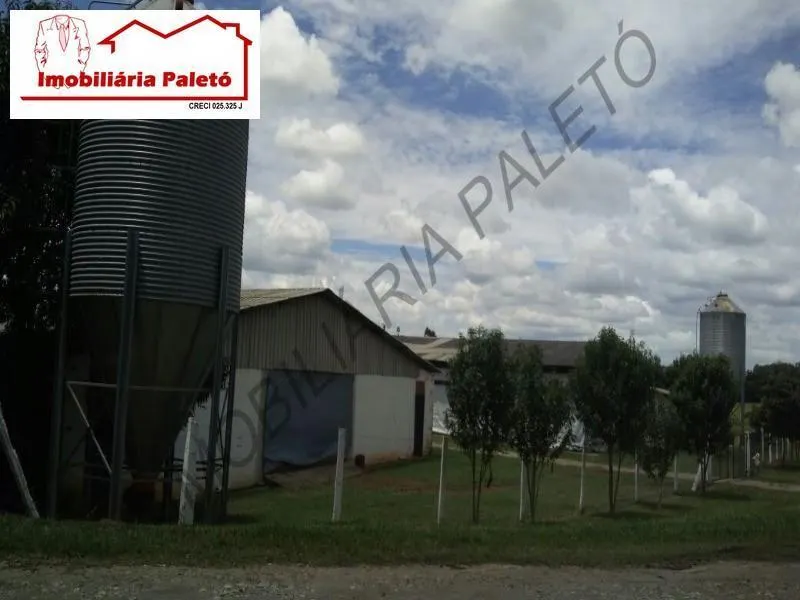 Sítio à venda de 33 ha em Cesário Lange, SP, Brasil