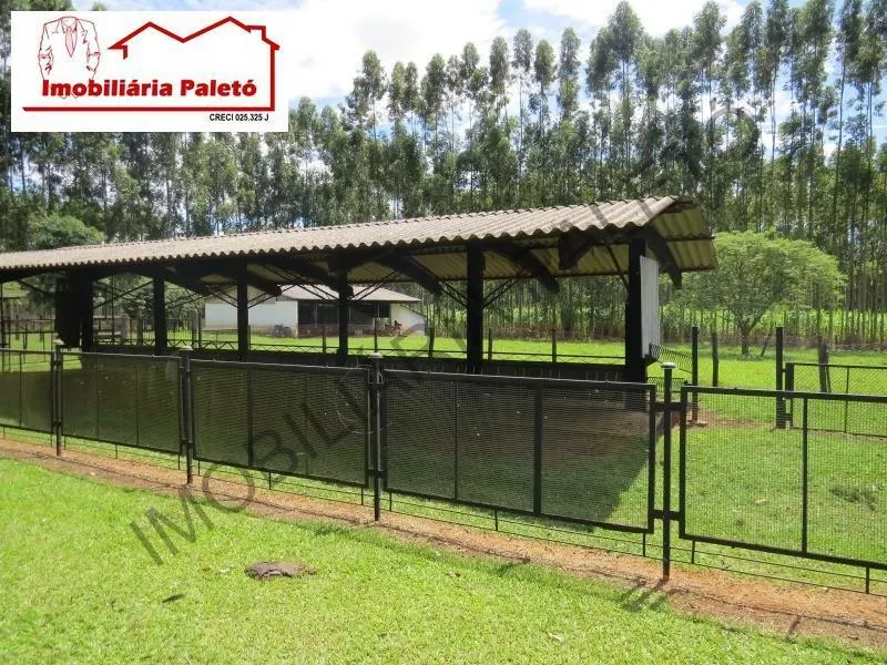 Sítio à venda de 33 ha em Cesário Lange, SP, Brasil