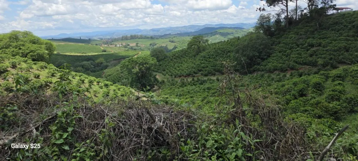 Fazenda à venda de 2.080 ha em Caconde, SP, Brasil