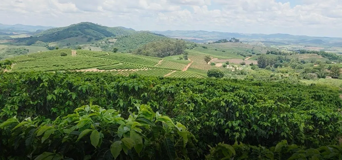 Fazenda à venda de 2.080 ha em Caconde, SP, Brasil