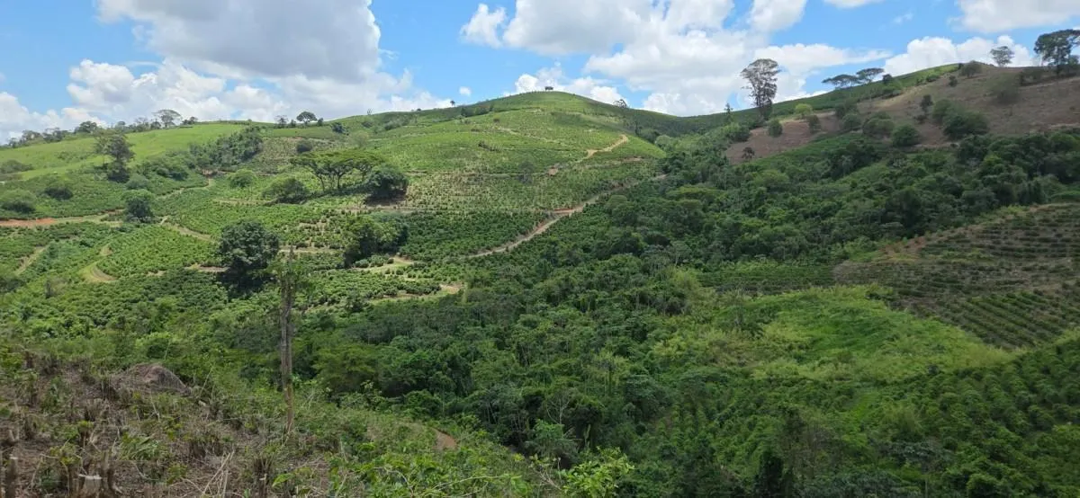 Fazenda à venda de 2.080 ha em Caconde, SP, Brasil
